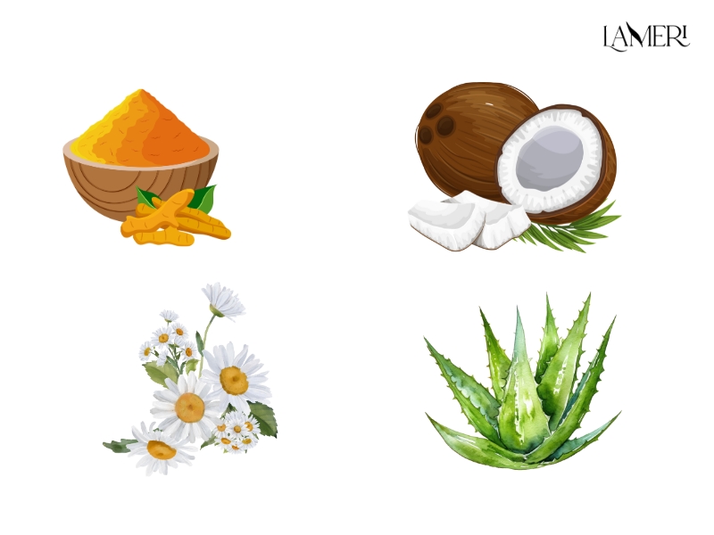 Thành phần của dung dịch vệ sinh Lameri 