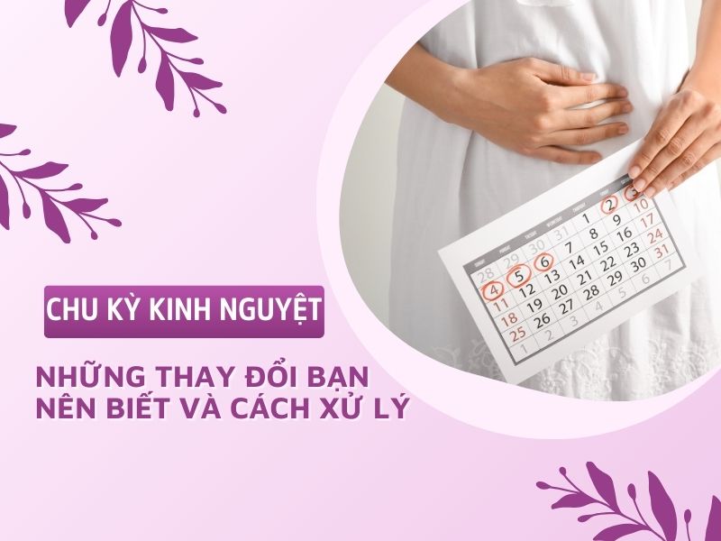 Chu kỳ kinh nguyệt