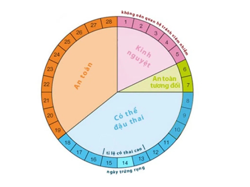 Cách Tính Ngày Rụng Trứng Để Tránh Thai